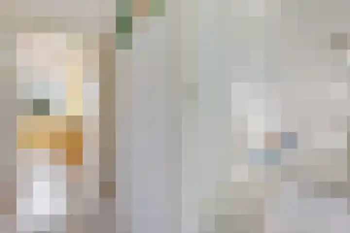 Kieviet 25 Bedum thumbnail 54