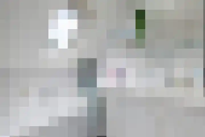 Kieviet 25 Bedum thumbnail 57