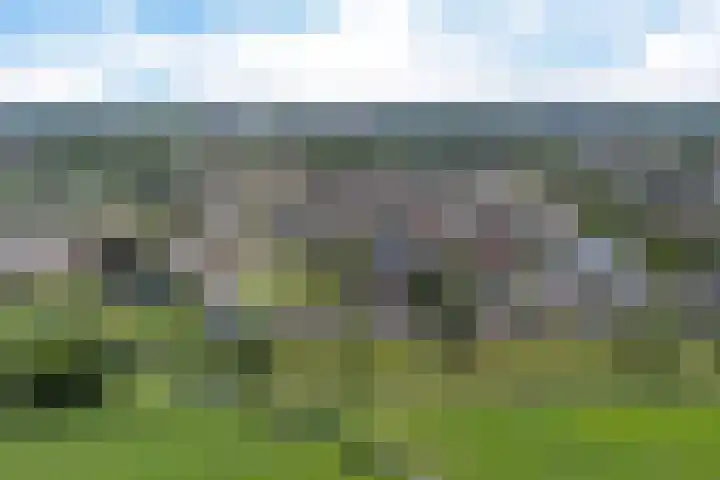 Kieviet 25 Bedum thumbnail 7