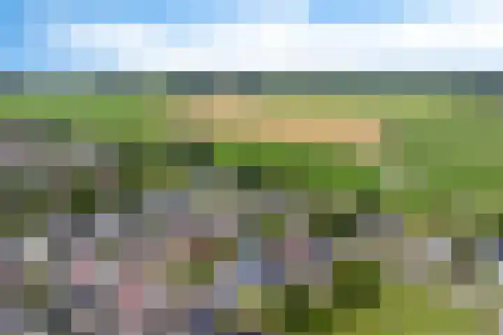 Kieviet 25 Bedum thumbnail 8