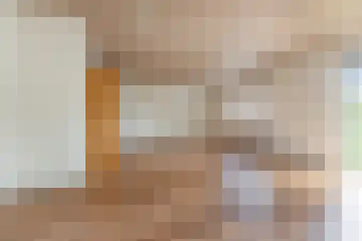Kievit 1 Grootegast thumbnail 10