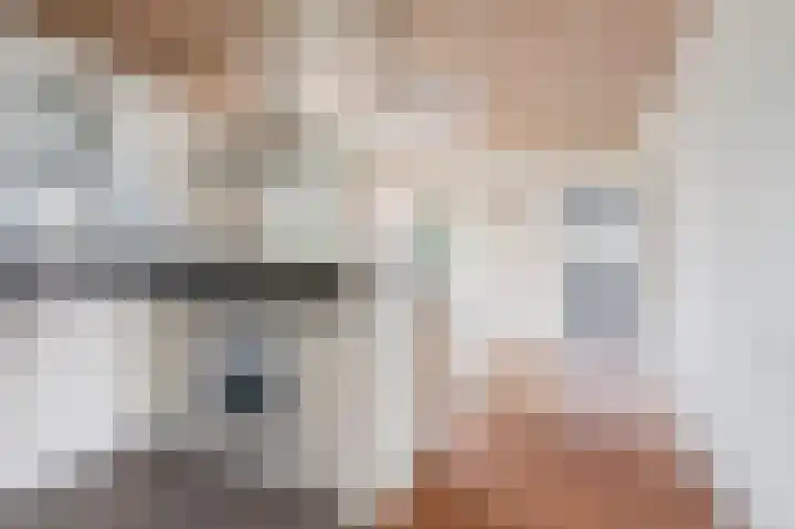 Kievit 1 Grootegast thumbnail 11