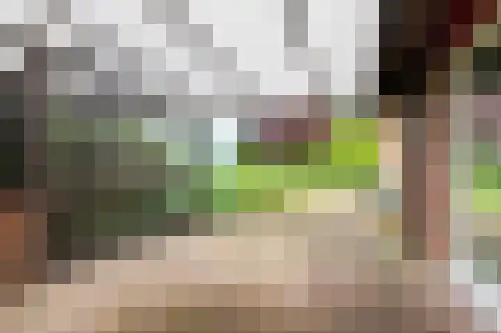 Kievit 1 Grootegast thumbnail 27