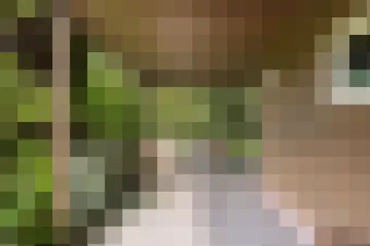 Kievit 1 Grootegast thumbnail 29