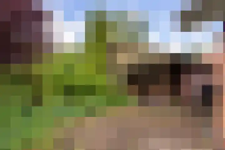 Kievit 1 Grootegast thumbnail 33