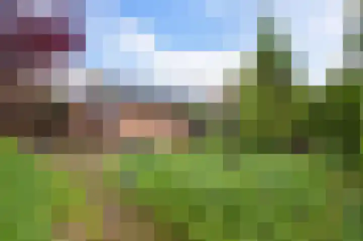 Kievit 1 Grootegast thumbnail 34