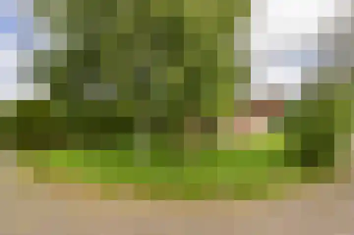 Kievit 1 Grootegast thumbnail 36