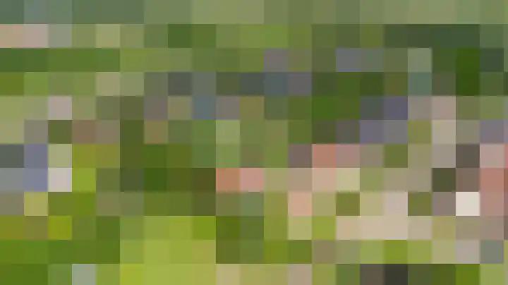 Kievit 1 Grootegast thumbnail 41