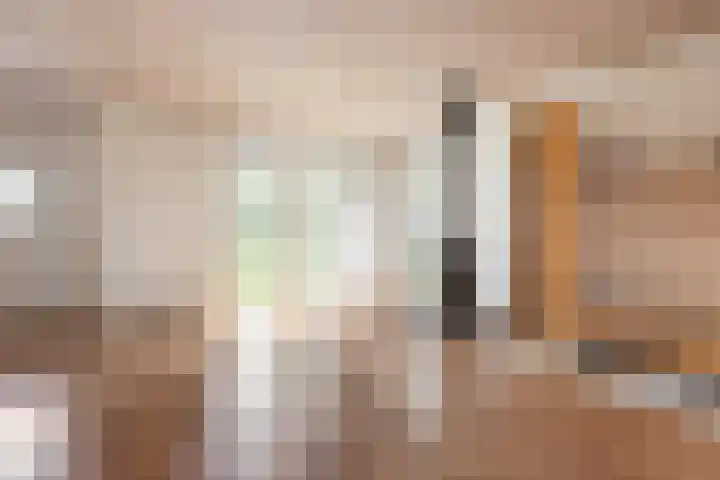 Kievit 1 Grootegast thumbnail 5