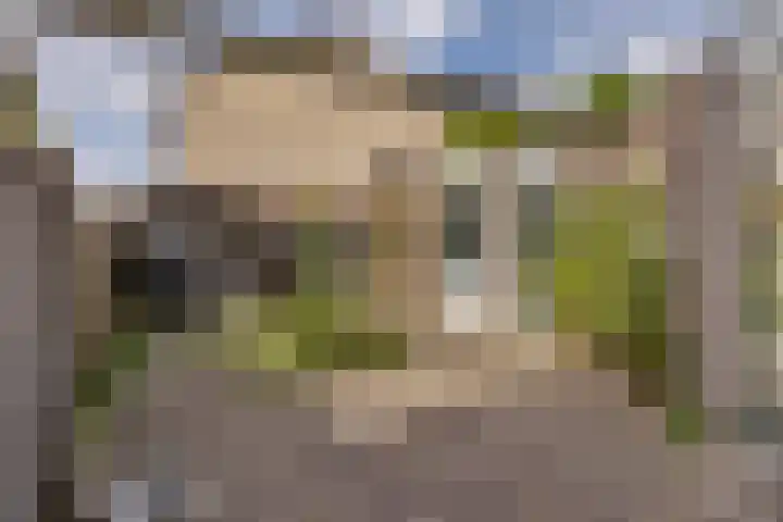 Kievit 1 Hardinxveld-Giessendam thumbnail 15