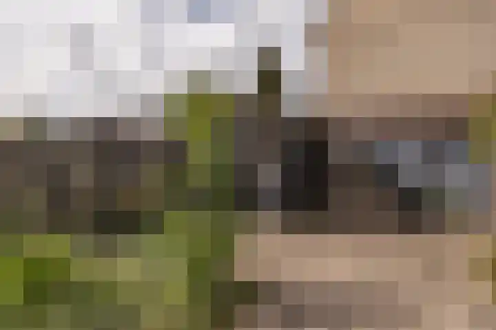 Kievit 1 Hardinxveld-Giessendam thumbnail 16