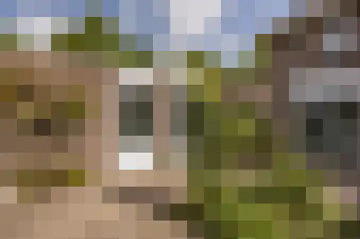 Kievit 1 Hardinxveld-Giessendam thumbnail 18