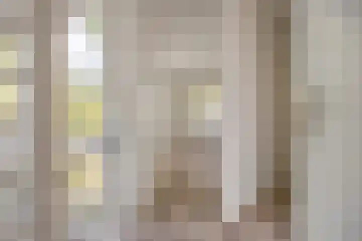 Kievit 1 Hardinxveld-Giessendam thumbnail 23