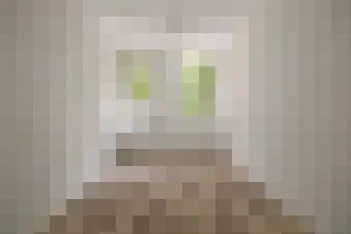 Kievit 1 Hardinxveld-Giessendam thumbnail 28