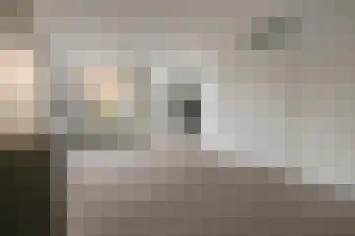 Kievit 1 Hardinxveld-Giessendam thumbnail 9