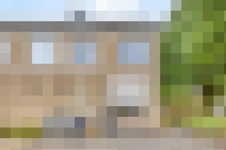Kievit 1 Oss