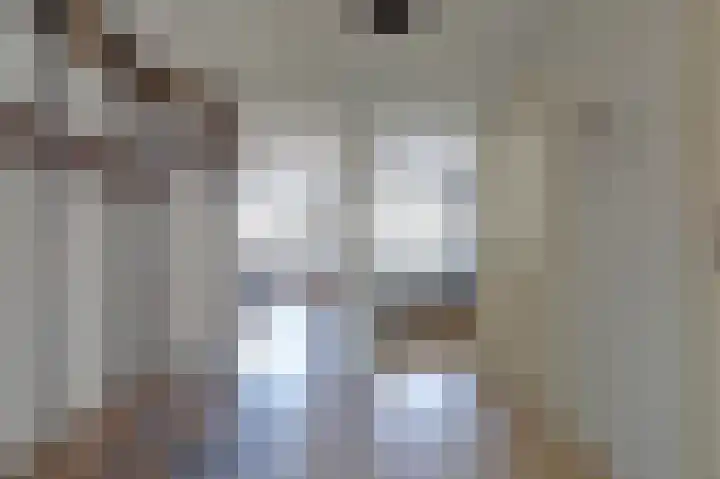 Kievit 11 De Lier thumbnail 7