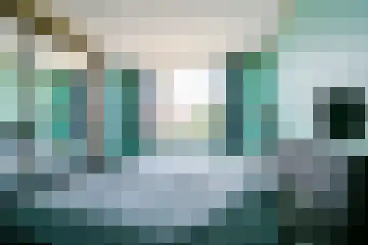 Kievit 111 Hoorn thumbnail 11