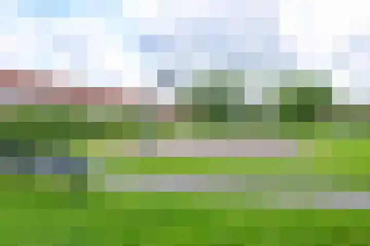 Kievit 111 Hoorn thumbnail 21