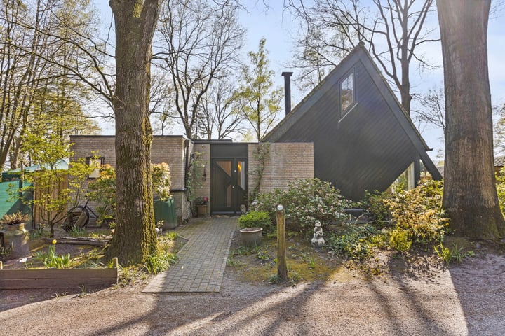 Kievit 12b-273 in Baarle-Nassau foto