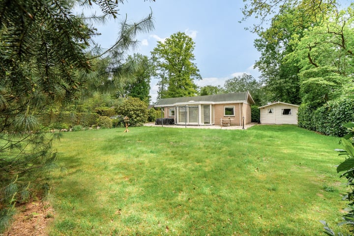 Kievit 12b-373 in Baarle-Nassau foto