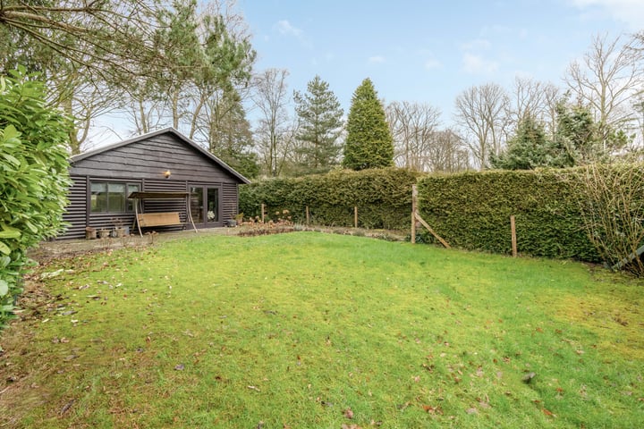 Kievit 12b-406 in Baarle-Nassau foto