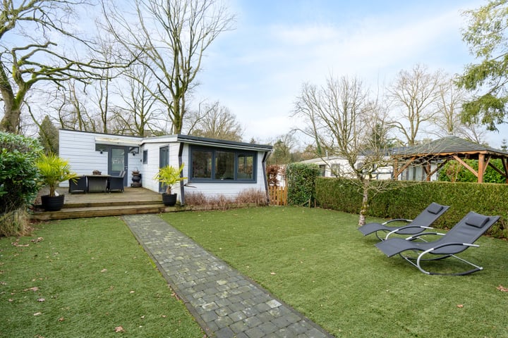 Kievit 12b-426 in Baarle-Nassau foto