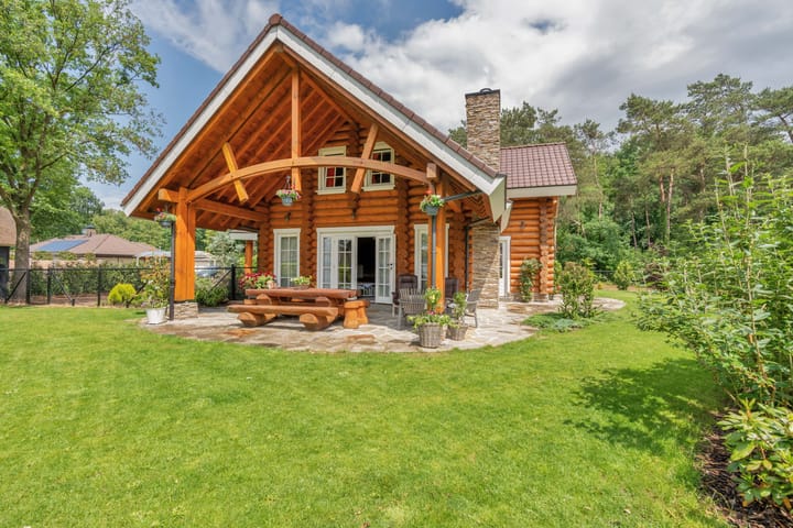 Kievit 12b-672 in Baarle-Nassau foto