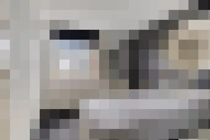 Kievit 13 De Lier thumbnail 10