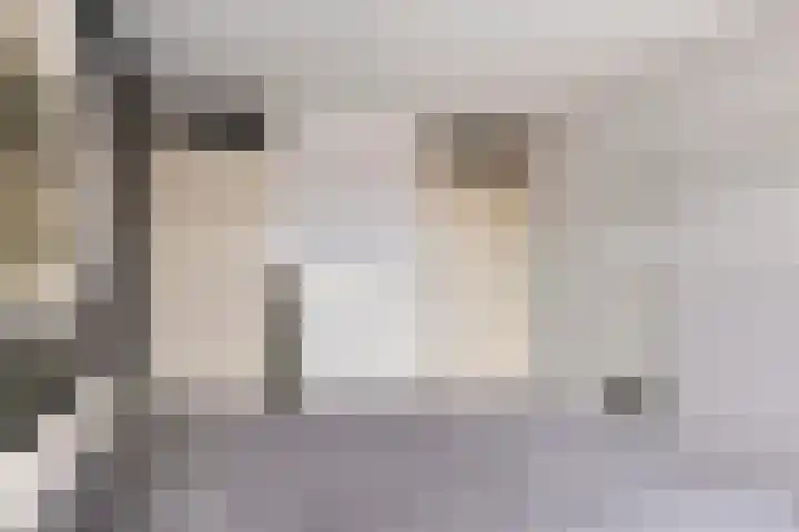 Kievit 13 De Lier thumbnail 11