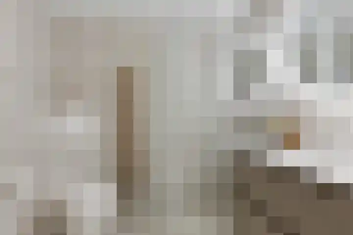 Kievit 13 De Lier thumbnail 12