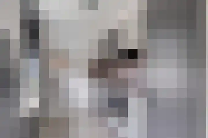 Kievit 13 De Lier thumbnail 18