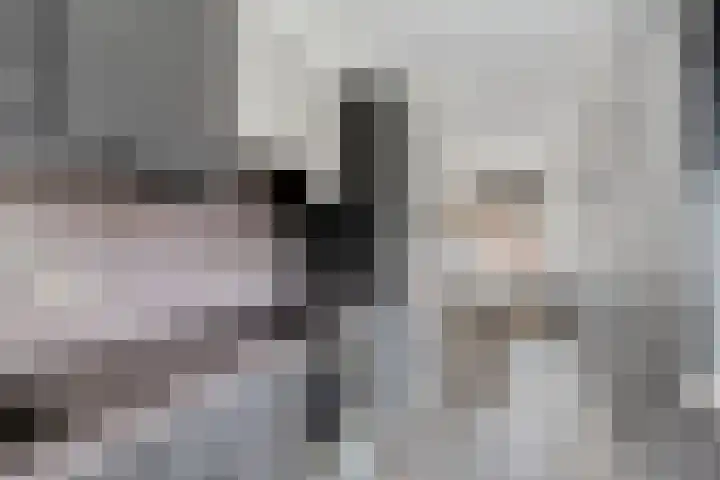 Kievit 13 De Lier thumbnail 19