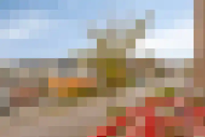 Kievit 13 De Lier thumbnail 21