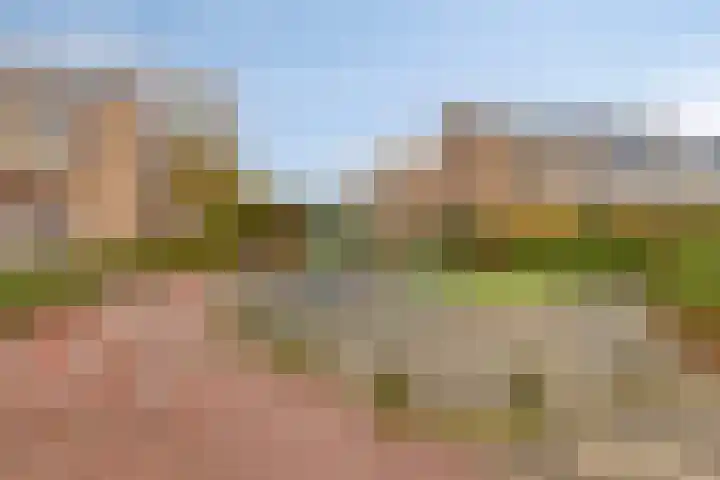 Kievit 13 De Lier thumbnail 26
