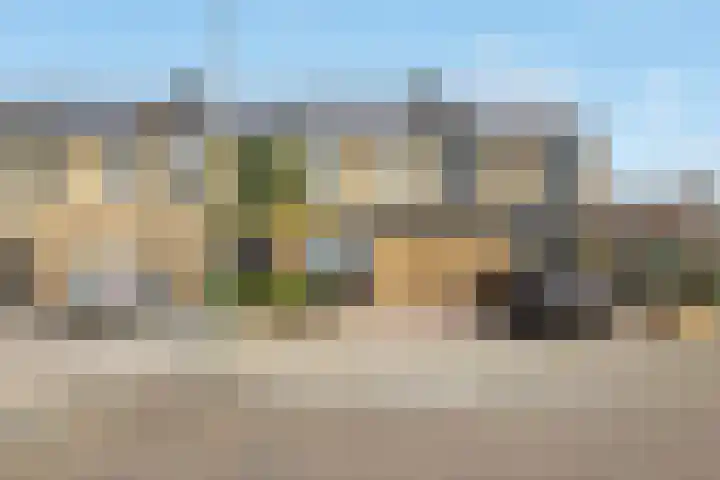 Kievit 136 Oss