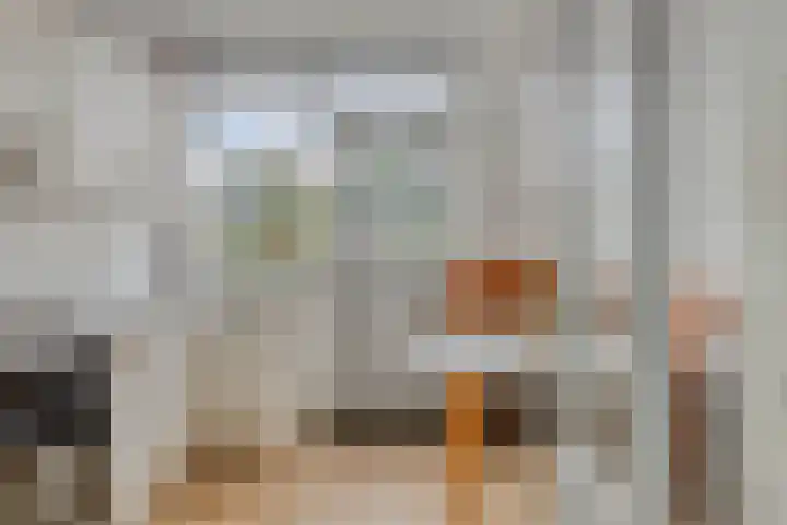 Kievit 14 Gouderak thumbnail 12