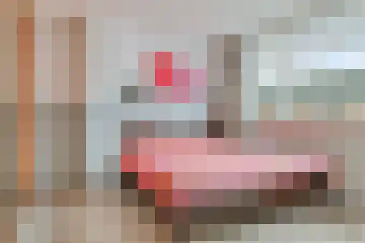Kievit 14 Gouderak thumbnail 14