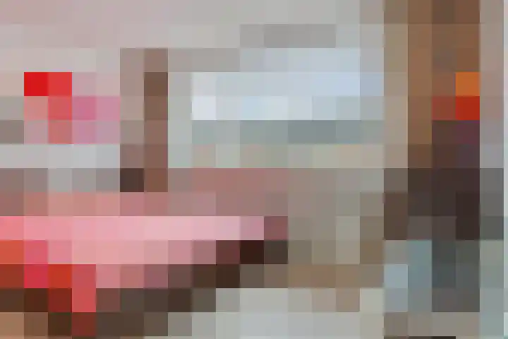Kievit 14 Gouderak thumbnail 15