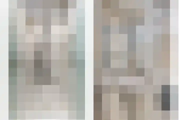 Kievit 14 Gouderak thumbnail 20