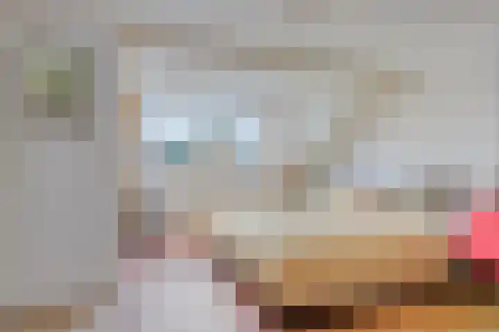 Kievit 14 Gouderak thumbnail 23