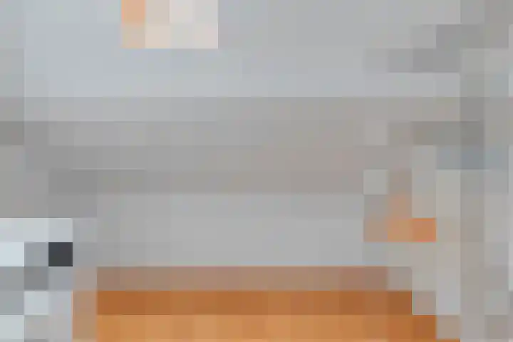 Kievit 14 Gouderak thumbnail 25
