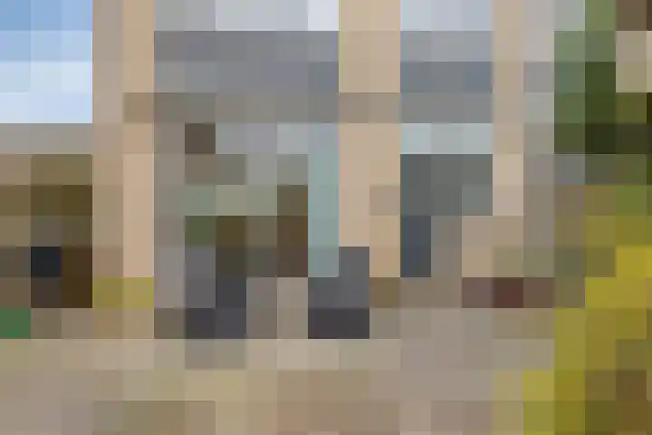 Kievit 14 Gouderak thumbnail 26