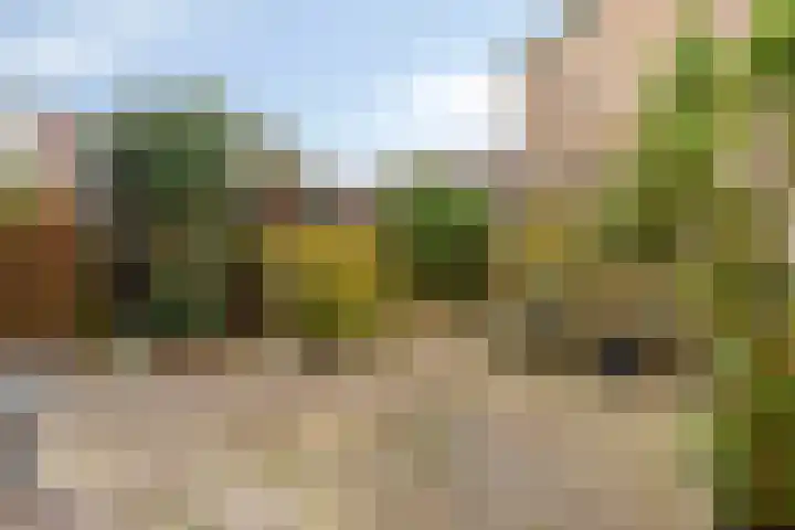 Kievit 14 Gouderak thumbnail 27