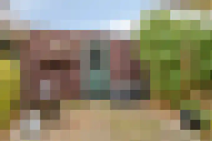 Kievit 14 Gouderak thumbnail 30