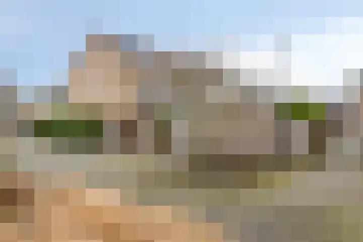 Kievit 14 Gouderak thumbnail 31