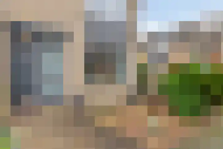 Kievit 14 Gouderak thumbnail 4