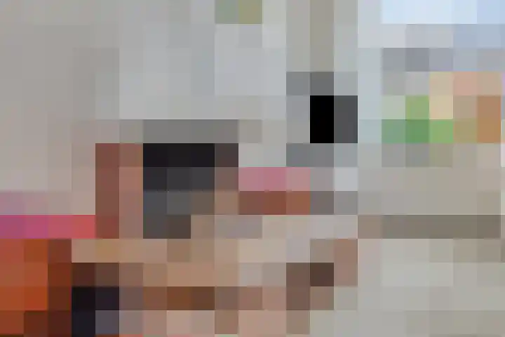 Kievit 14 Gouderak thumbnail 8
