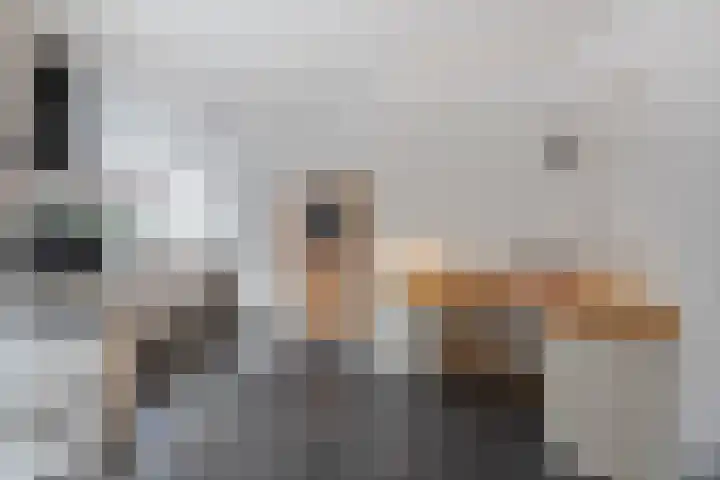 Kievit 17 Hardinxveld-Giessendam thumbnail 12