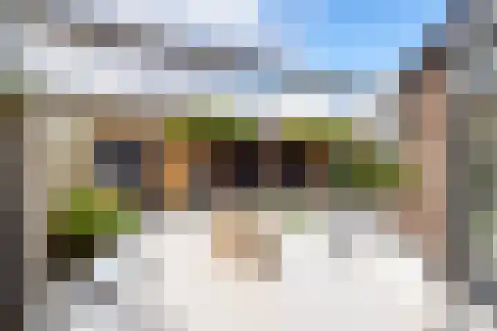 Kievit 17 Hardinxveld-Giessendam thumbnail 37